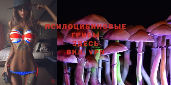 а пвп мука Алексин