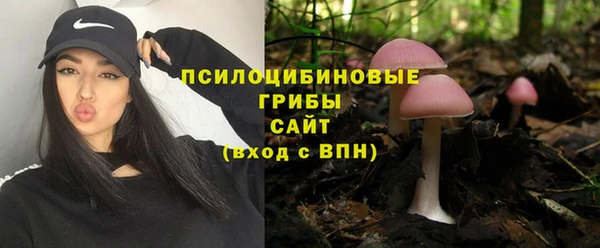 прущая мука Алзамай