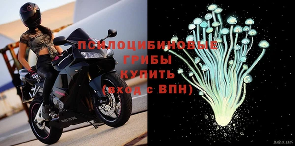 прущая мука Алзамай