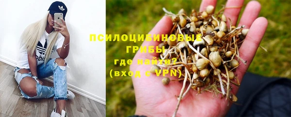 а пвп мука Алексин