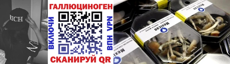 Псилоцибиновые грибы Psilocybe  Салехард 